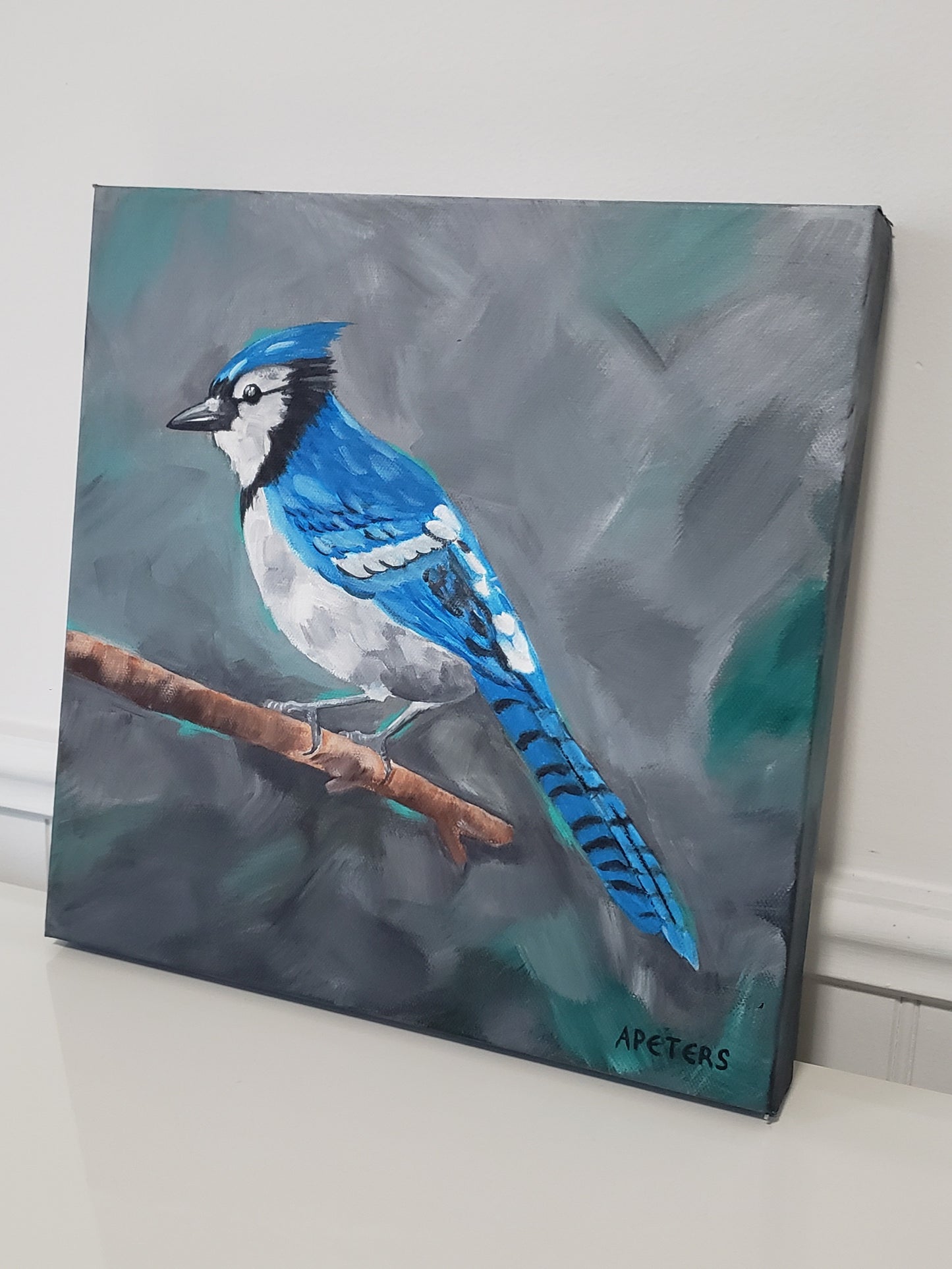 "Portrait of a Bluejay"