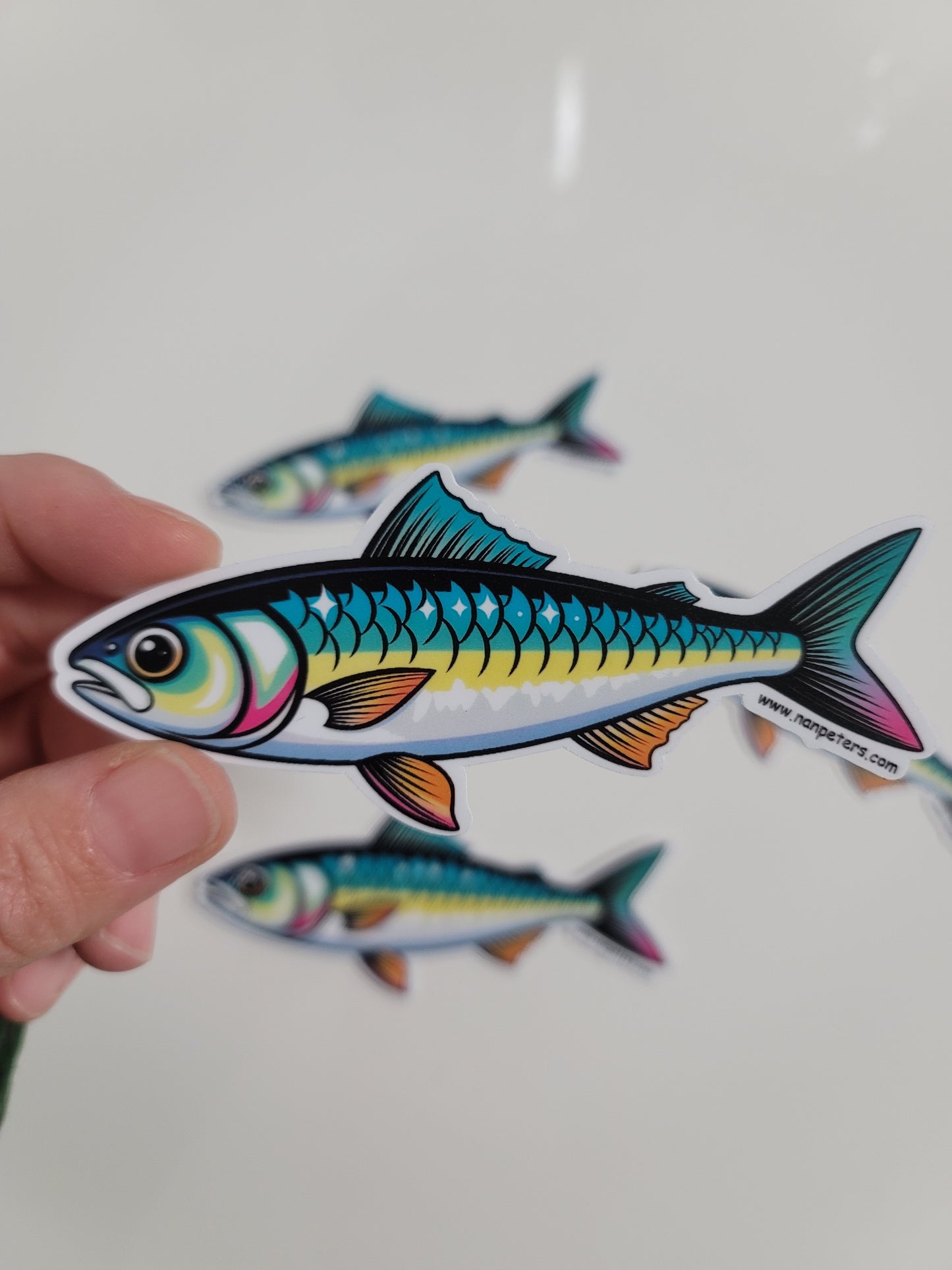 Sardine Bumper Sticker
