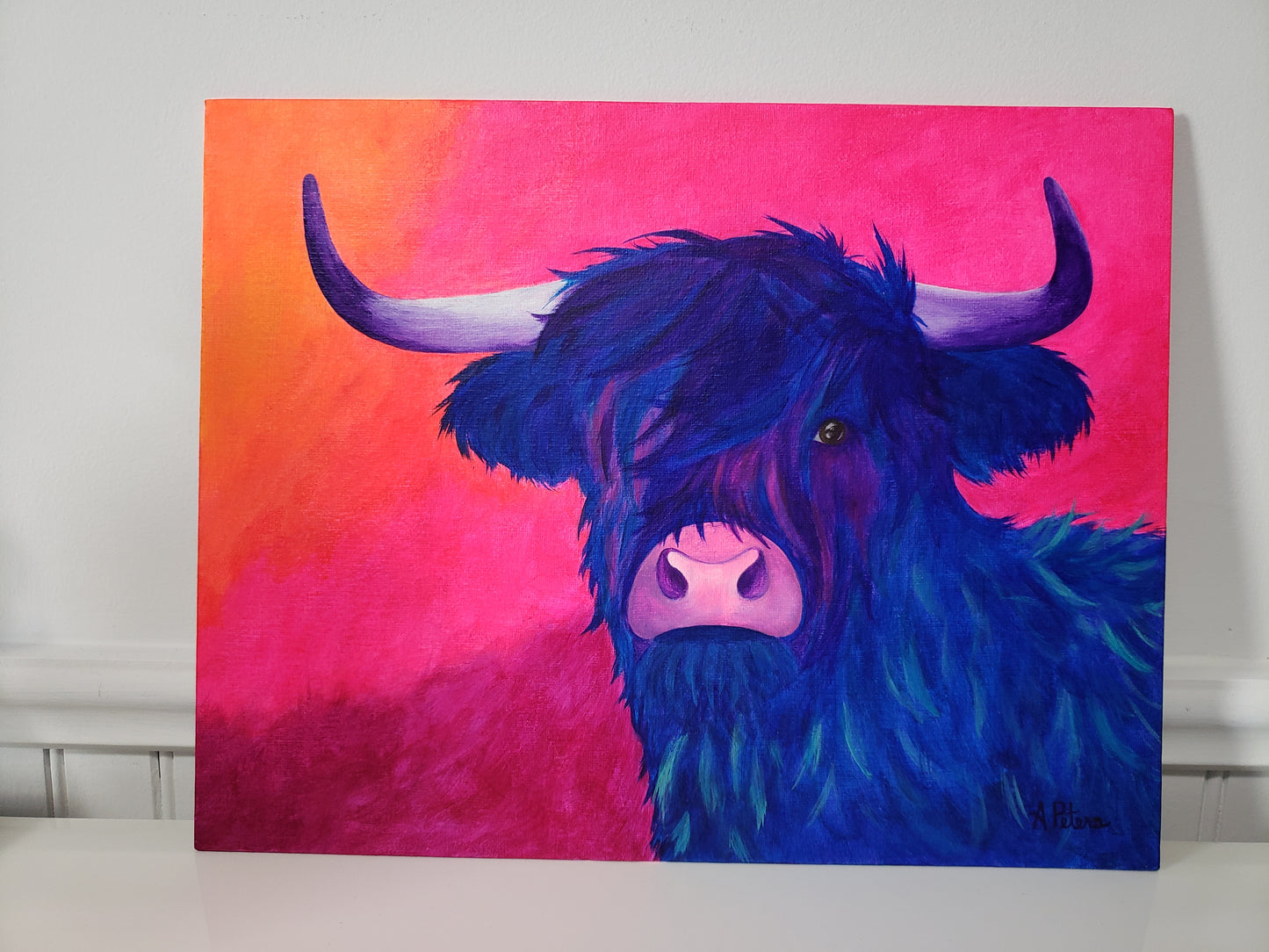 "Pretty Violet" the Highland Cow