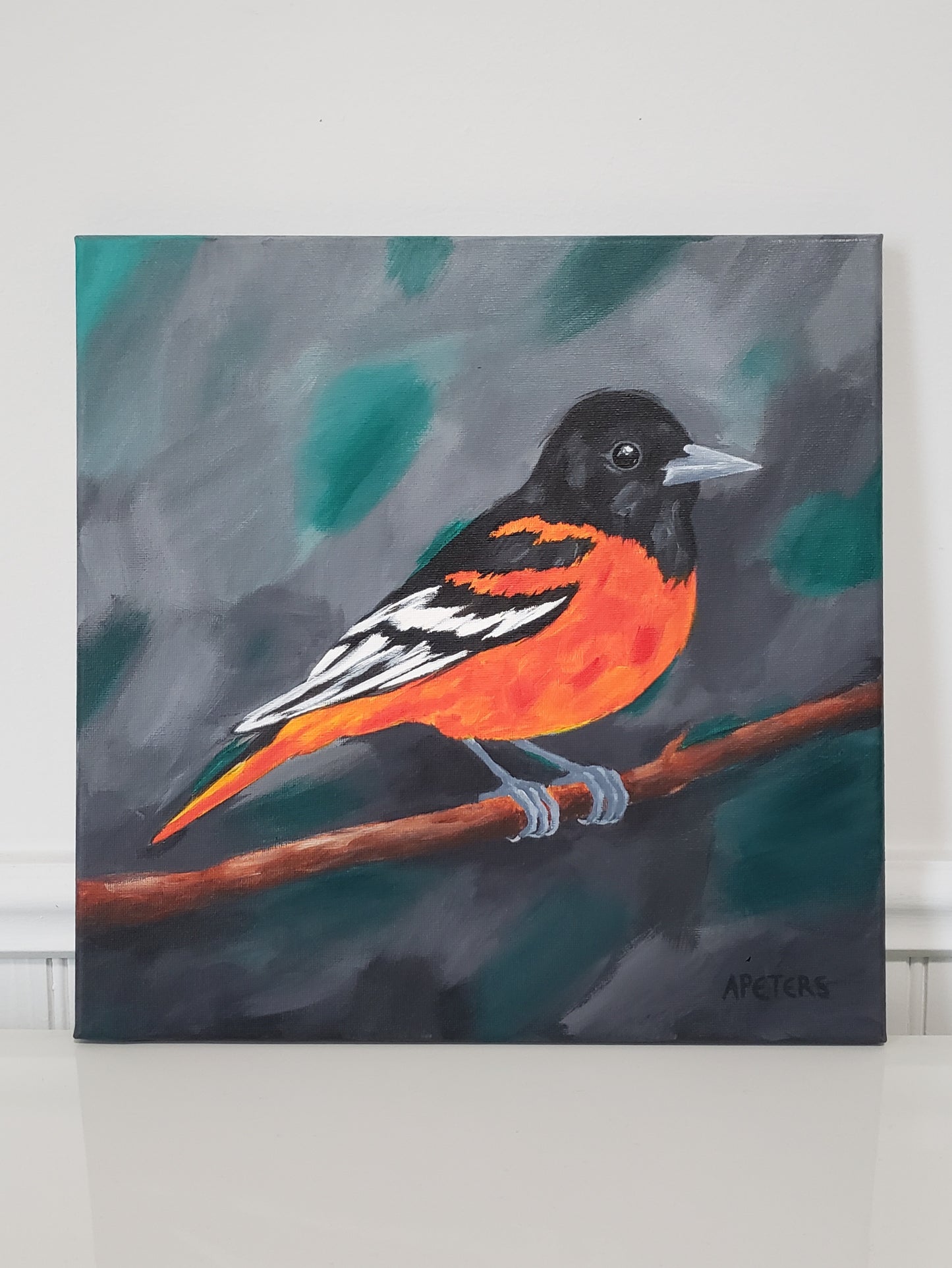 Baltimore Oriole