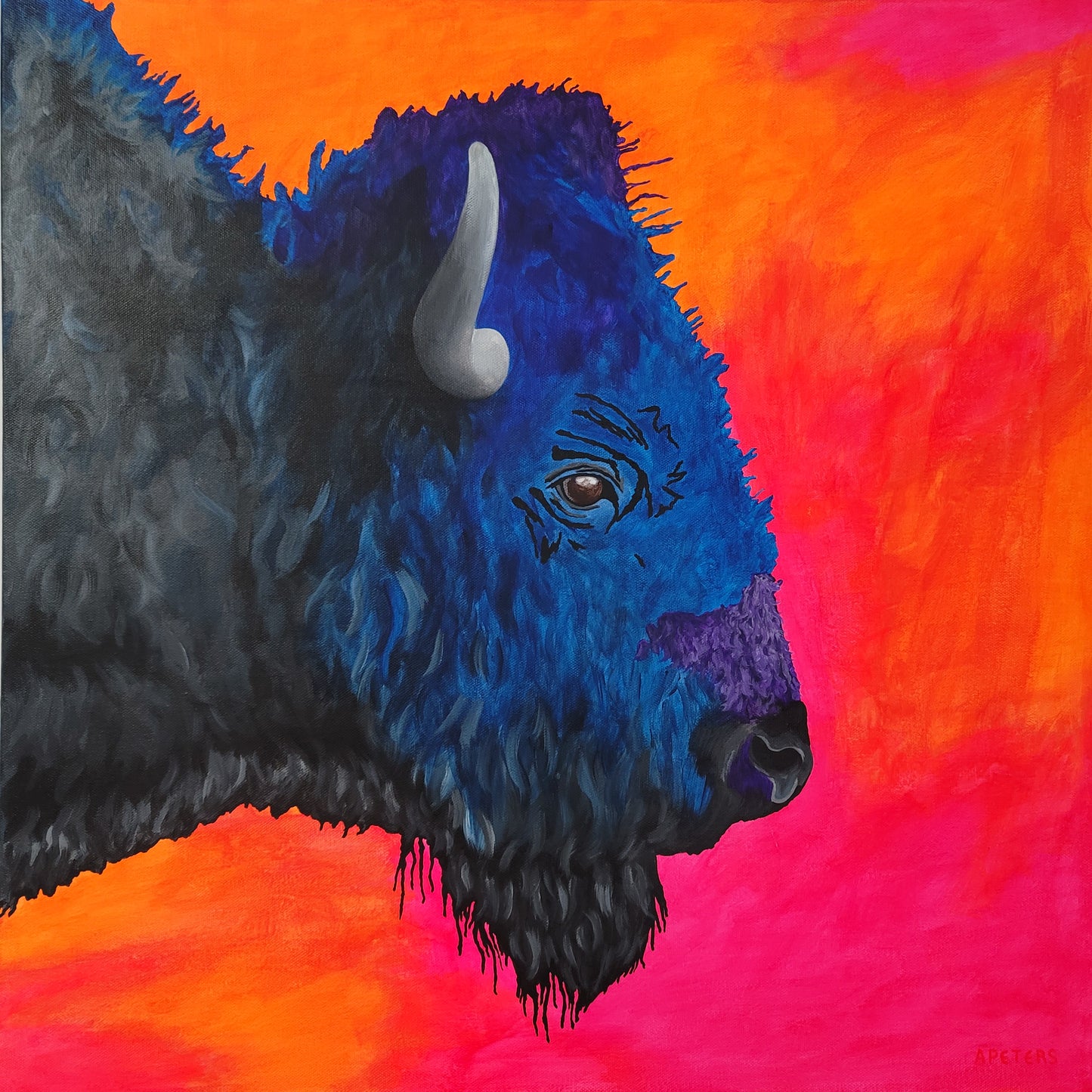 Bison on the Plains