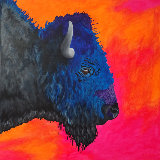 Bison on the Plains