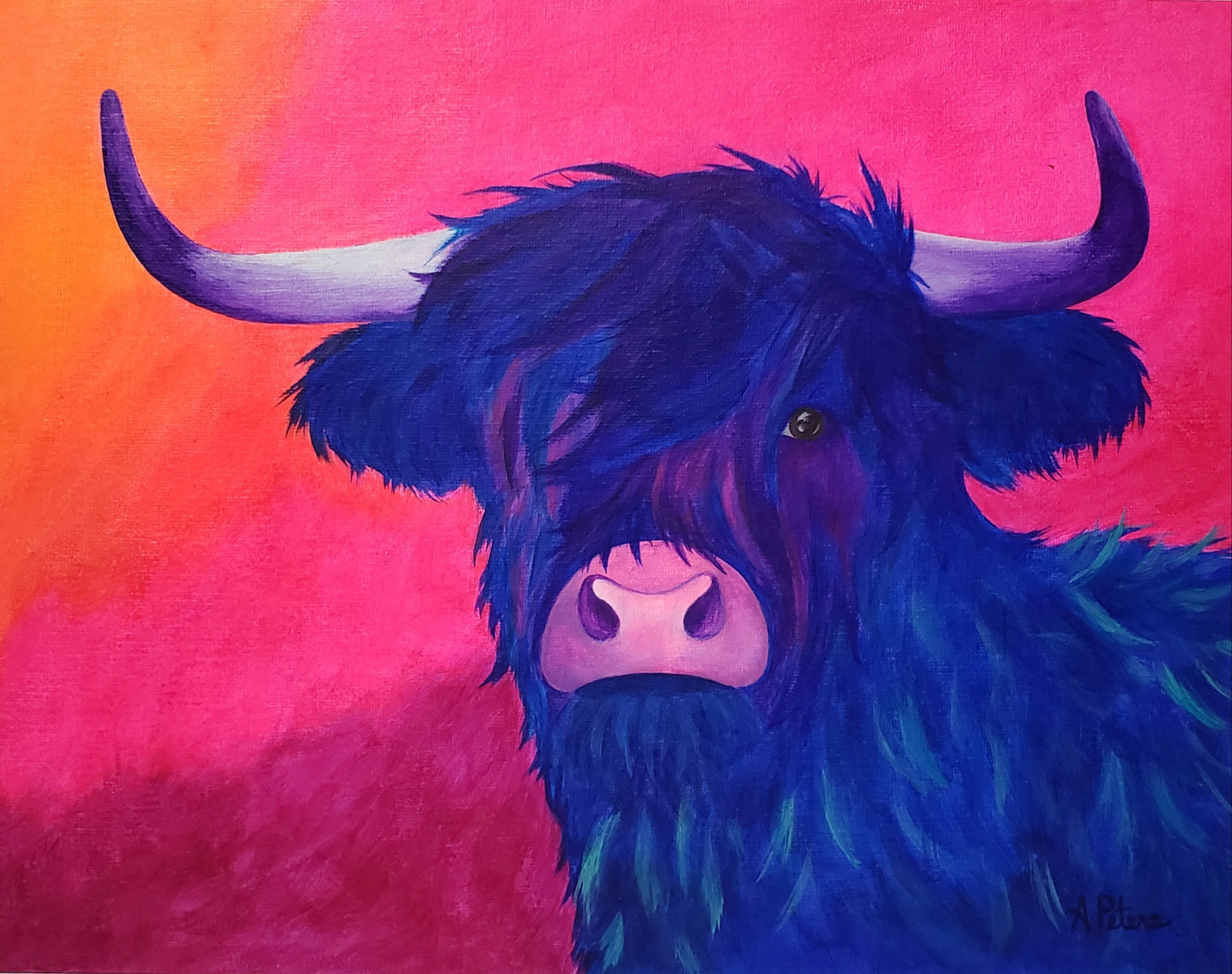 "Pretty Violet" the Highland Cow