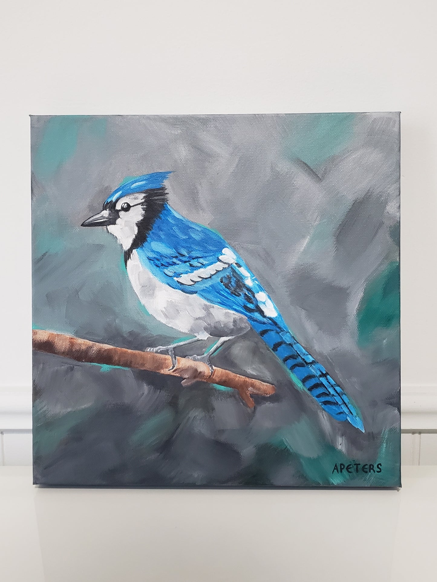 "Portrait of a Bluejay"