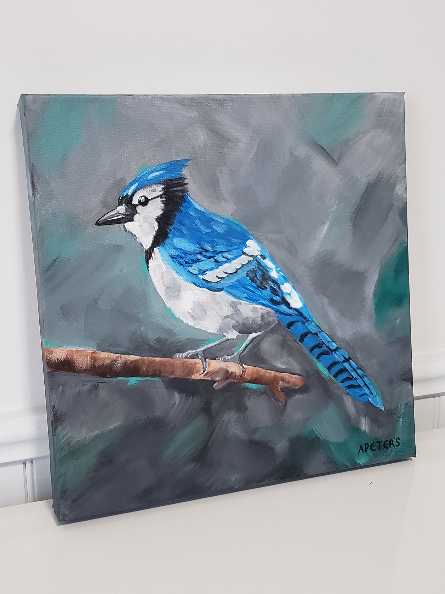 "Portrait of a Bluejay"