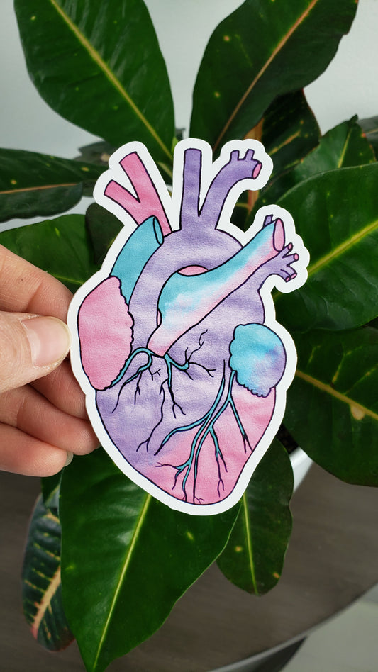 Pastel Heart Bumper Sticker