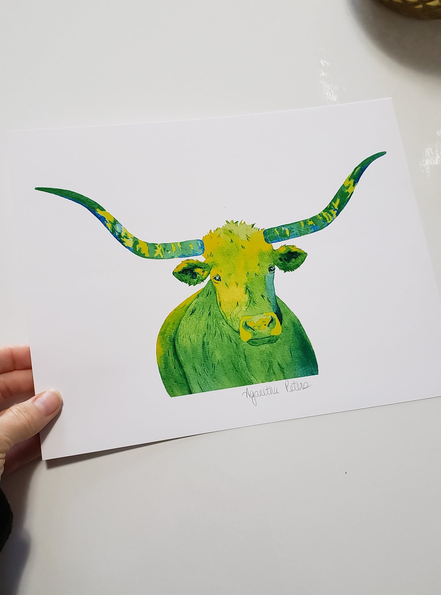 Longhorn Cow Print