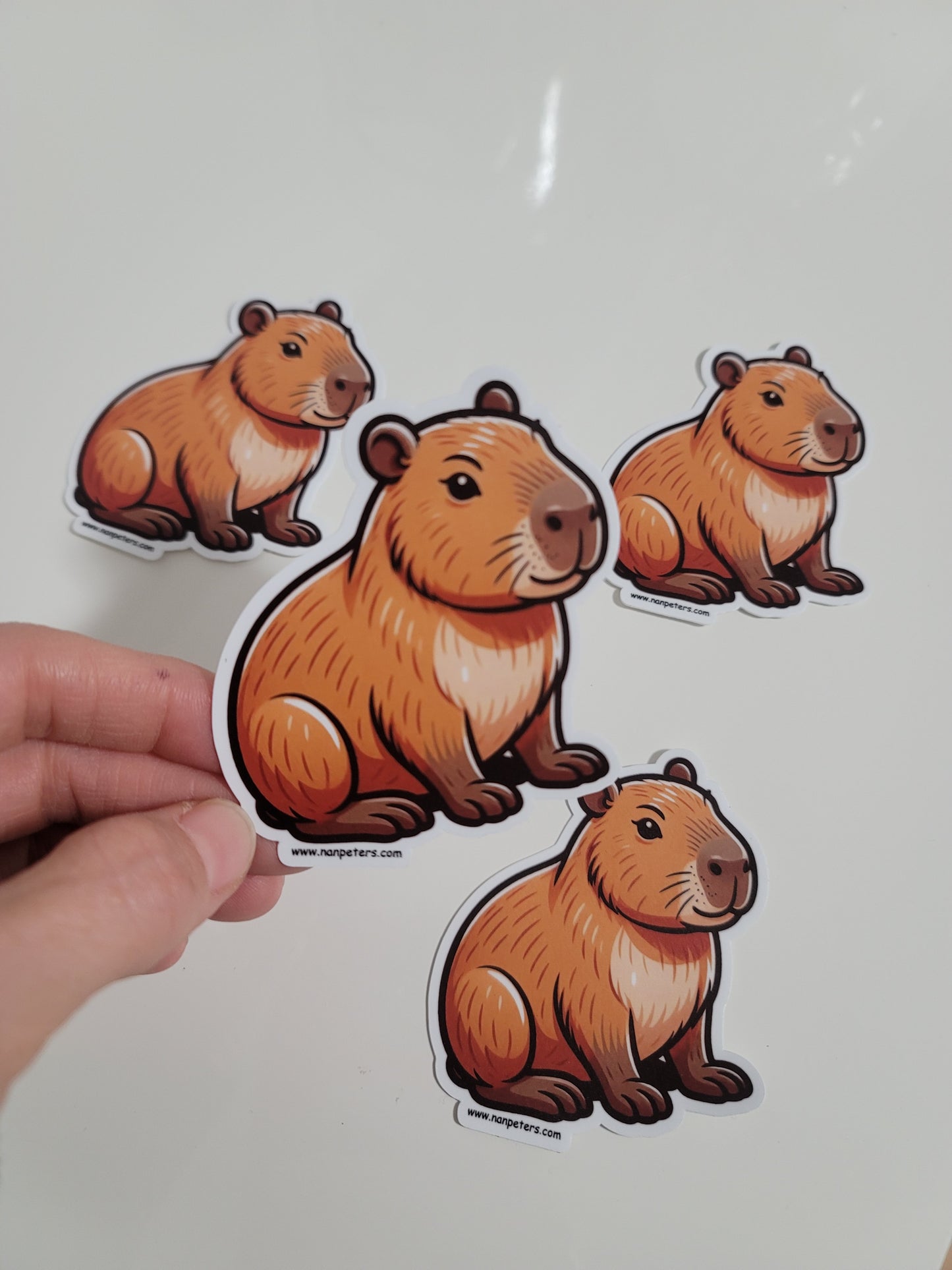 Capybara Bumper Sticker