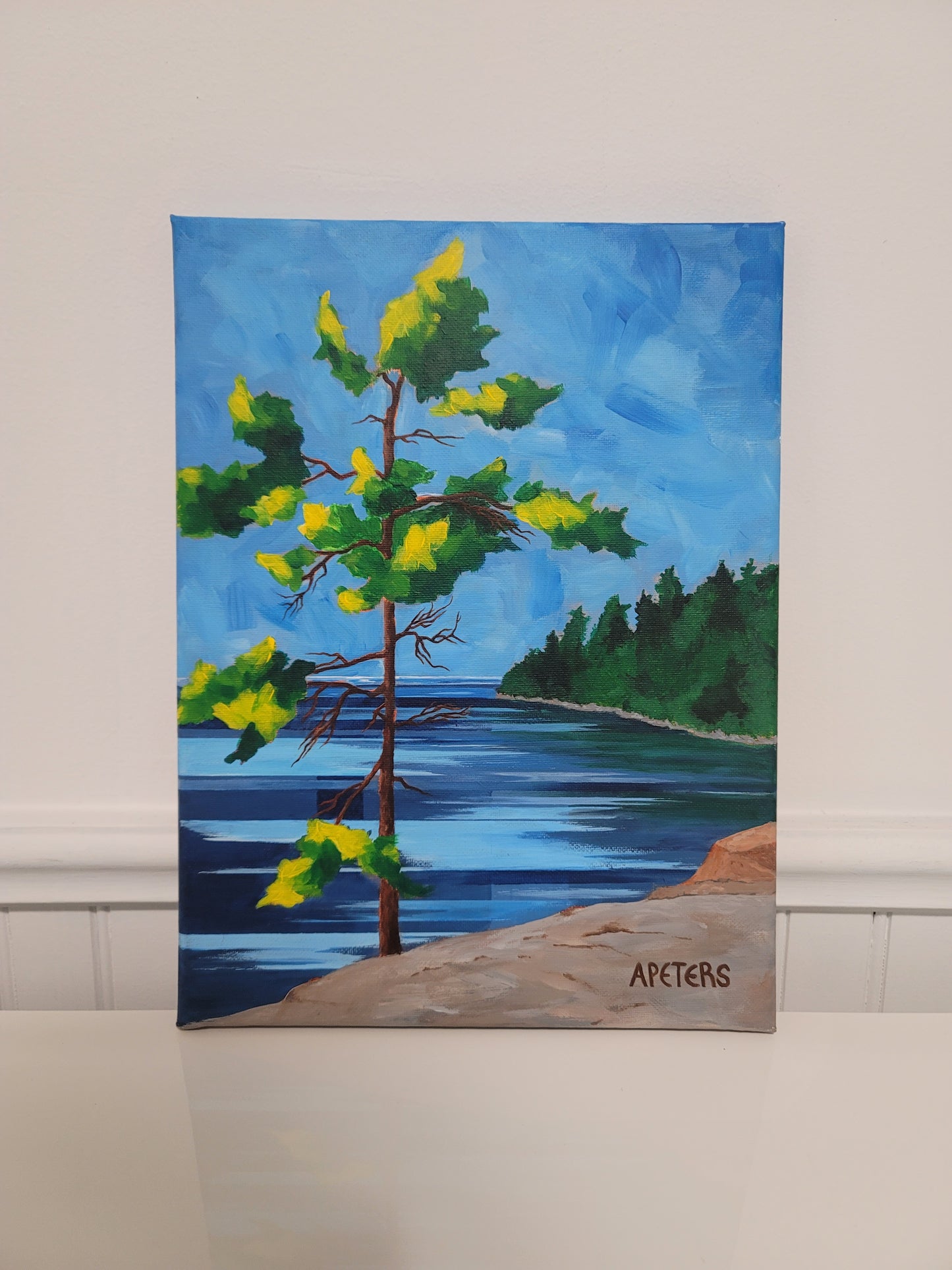Grand Lake White Pine