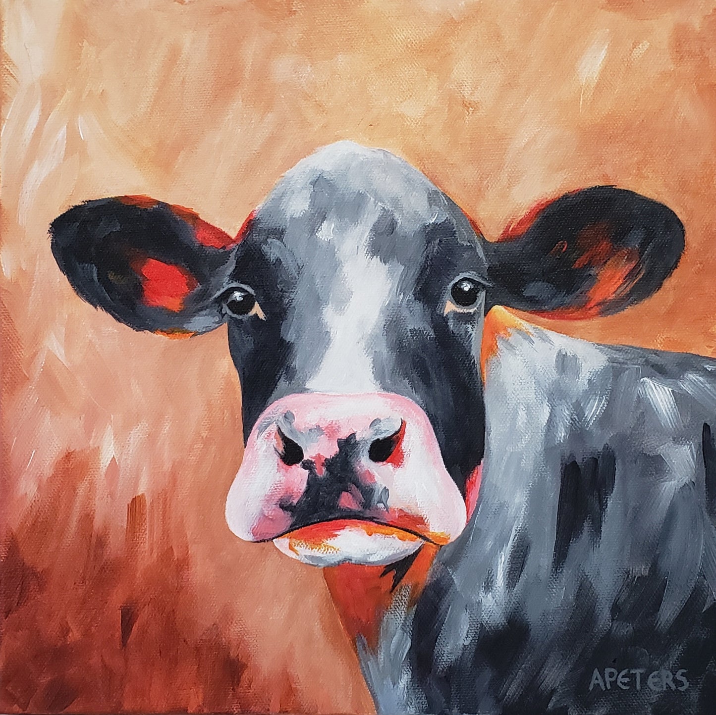 Portrait of a Cow