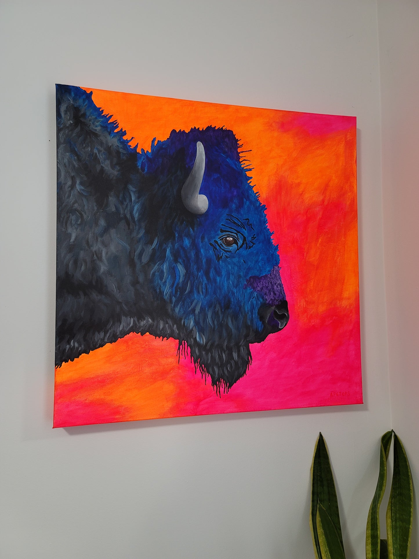 Bison on the Plains