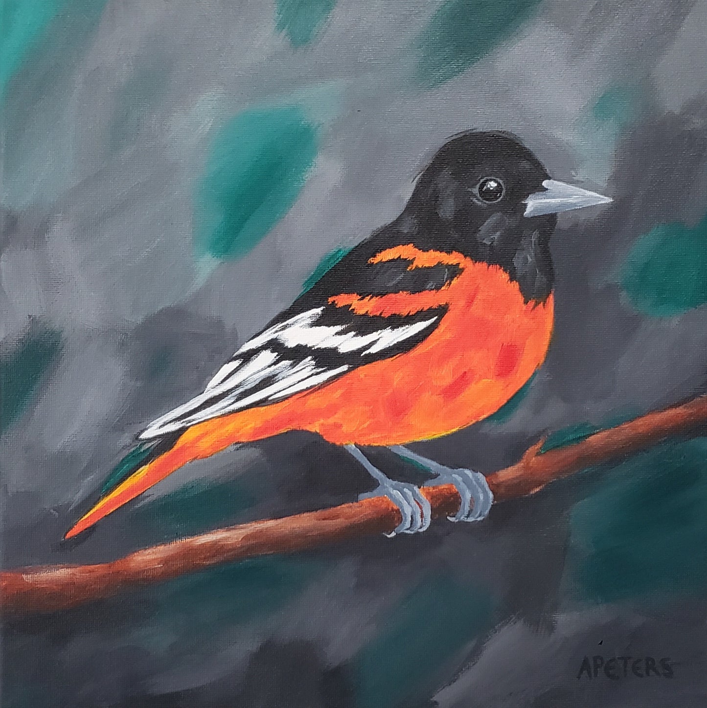 Baltimore Oriole