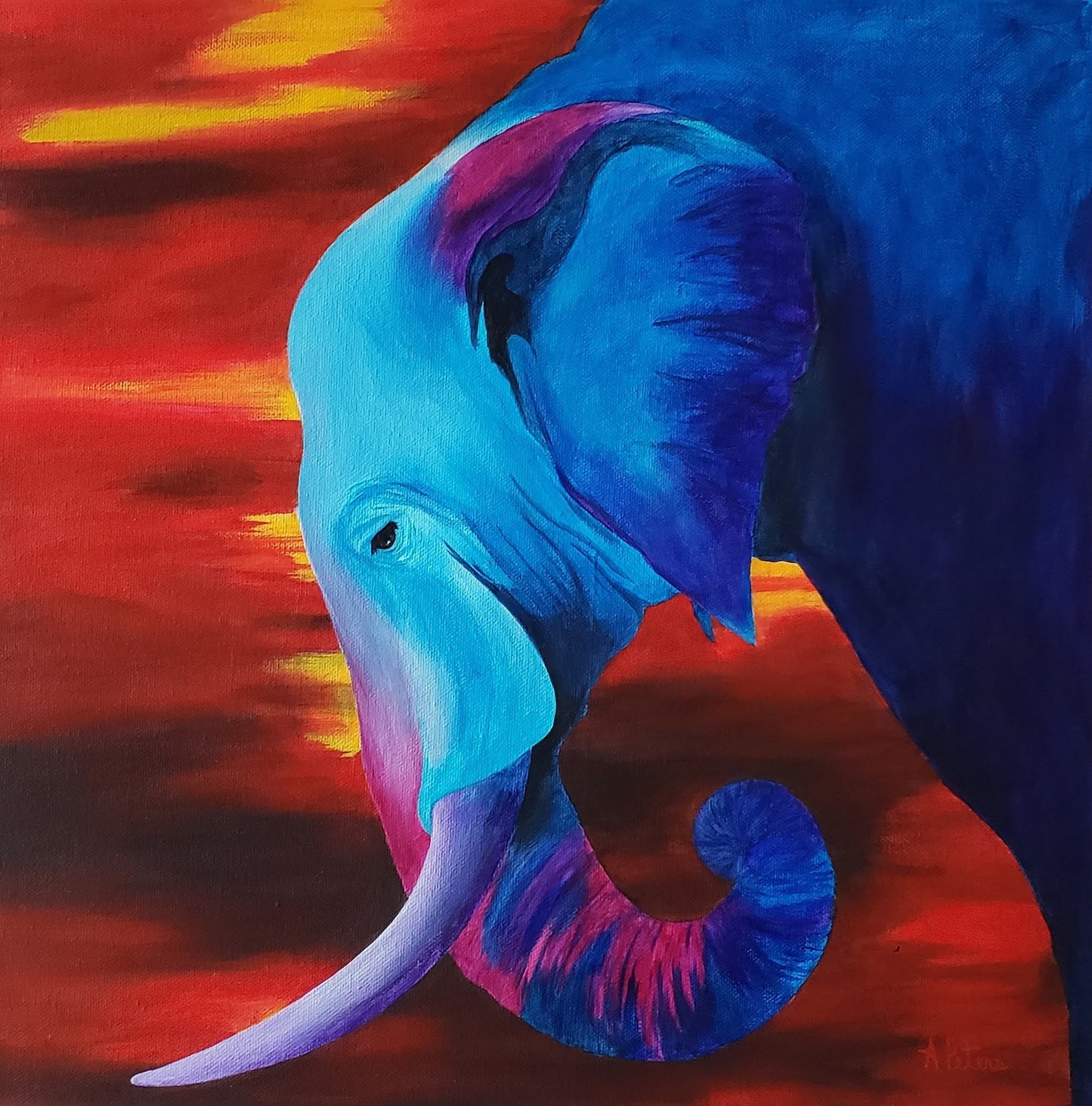 Night Sky Elephant